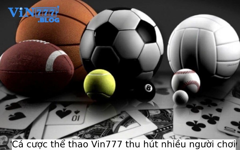 Cá cược thể thao Vin777 thu hút rất nhiều người tham gia